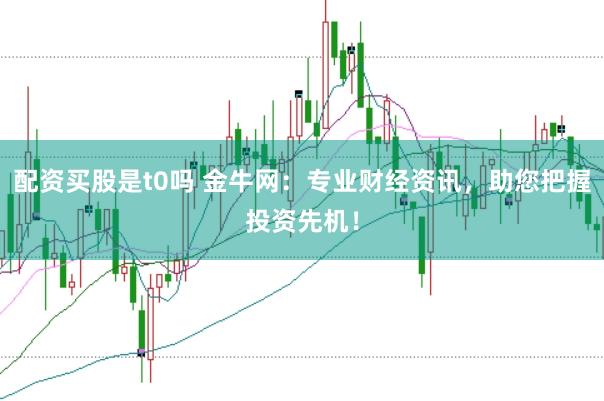 配资买股是t0吗 金牛网：专业财经资讯，助您把握投资先机！