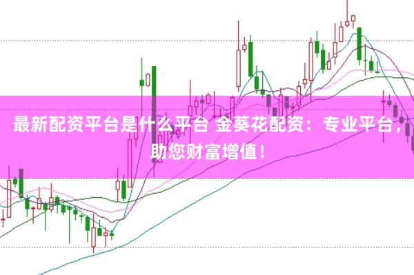 最新配资平台是什么平台 金葵花配资：专业平台，助您财富增值！