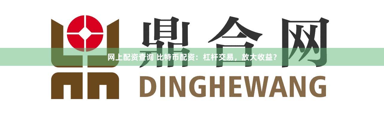 网上配资查询 比特币配资：杠杆交易，放大收益？