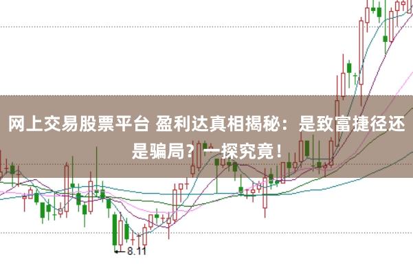 网上交易股票平台 盈利达真相揭秘：是致富捷径还是骗局？一探究竟！