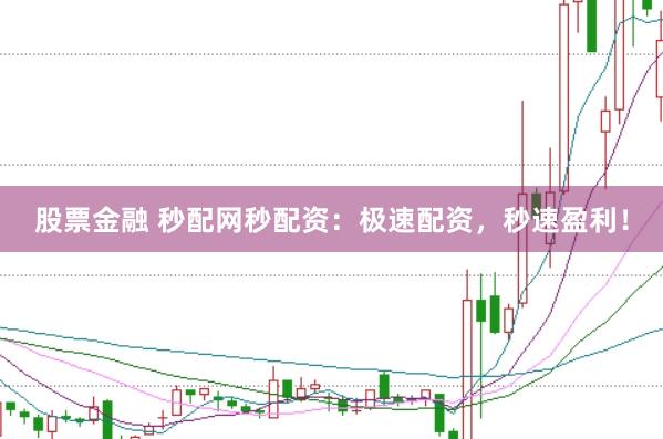 股票金融 秒配网秒配资：极速配资，秒速盈利！