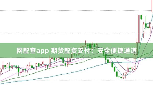 网配查app 期货配资支付：安全便捷通道