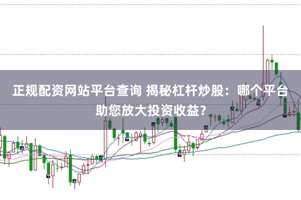 正规配资网站平台查询 揭秘杠杆炒股：哪个平台助您放大投资收益？