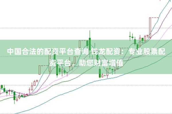 中国合法的配资平台查询 钱龙配资：专业股票配资平台，助您财富增值